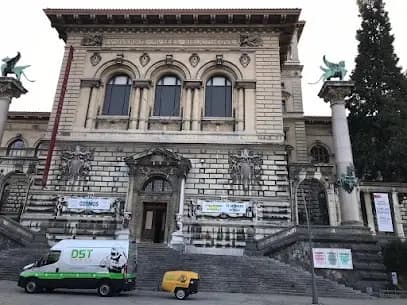 Décapage d'une porte en bois au Palais de la Rumine à Lausanne.